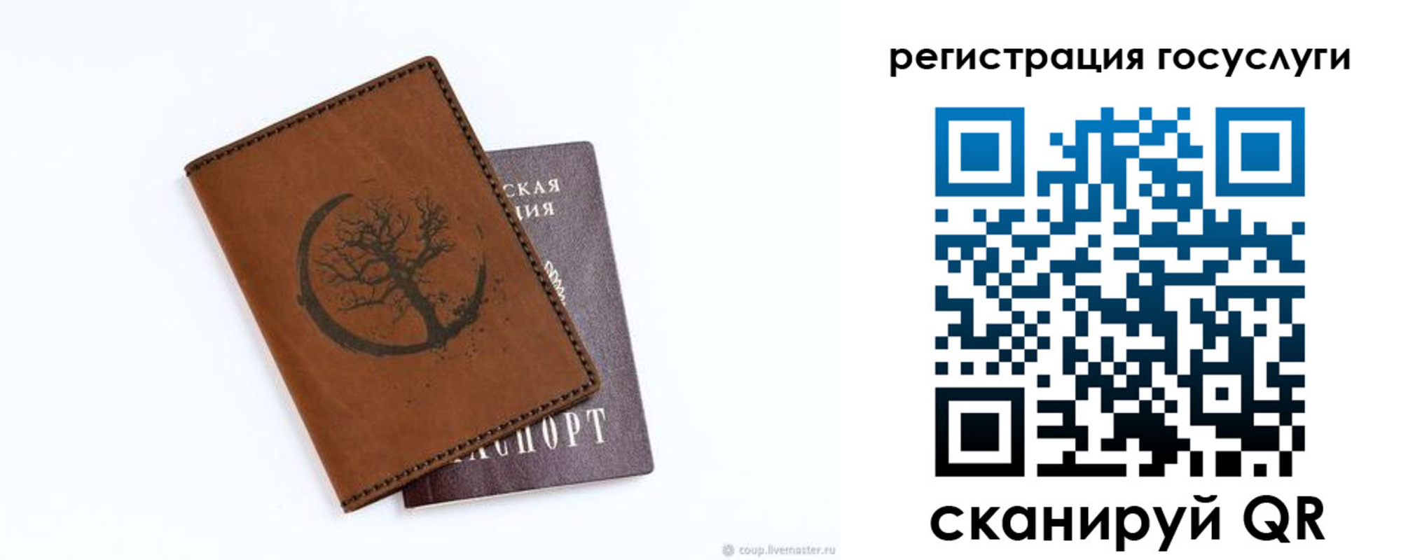 прописка для школы в Всеволожске
